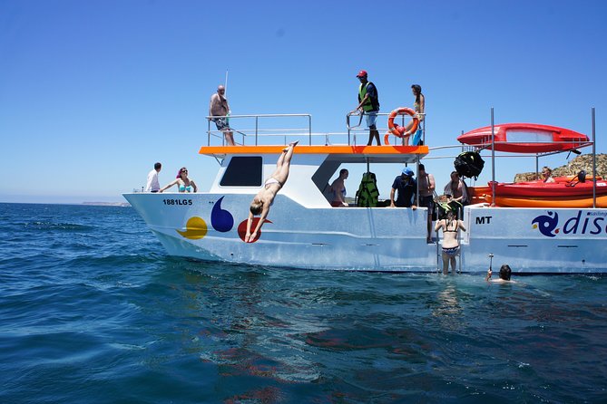 2-hour Kayak Tour of Ponta da Piedade Caves and Beaches - The catamaran cruise: golden beaches, lighthouse views, and an easy warm-up
