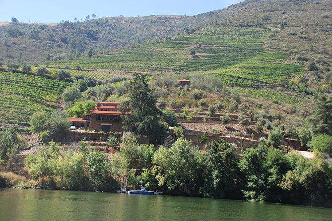 2-hour Rabelo Boat tour in Pinhão - Boat comfort on Rabelo style: shade, seating, and weather reality