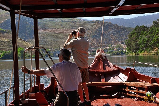 2-hour Rabelo Boat tour in Pinhão - What you will likely see (and what you might miss)