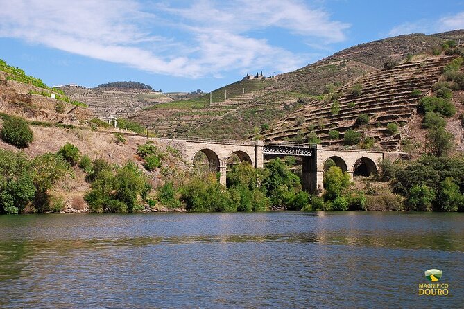 2-hour Rabelo Boat tour in Pinhão - The audio experience: why the app matters more than people expect