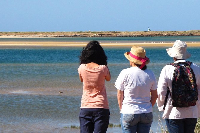 2 Stop | 2 Islands & Ria Formosa Natural Park - From Faro - Tips for better wildlife spotting and calmer photos