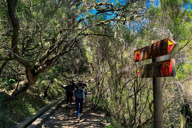 25 Fountains Levada: Hiking Tour in Madeira Rabaçal Valley (PR6) - Key highlights worth planning around