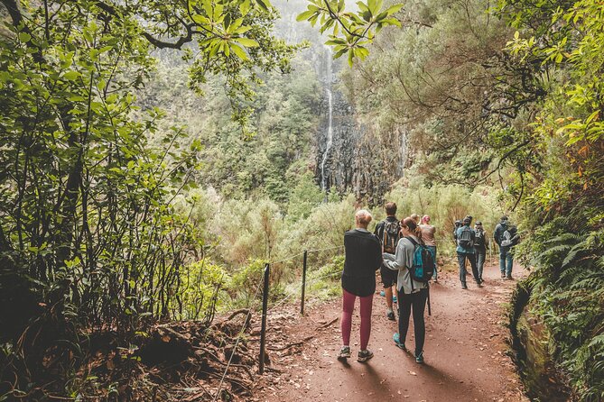 25 Fountains Levada: Hiking Tour in Madeira Rabaçal Valley (PR6) - The Levada Walk Toward 25 Fountains: Where the Scenery Gets Big