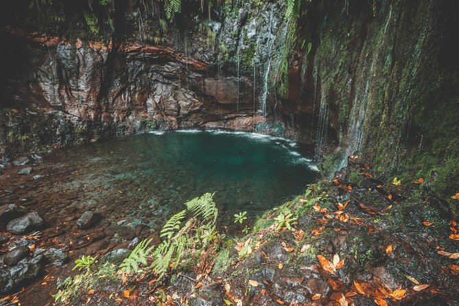 25 Fountains Levada: Hiking Tour in Madeira Rabaçal Valley (PR6) - The Steps and the 800m Tunnel: What to Know Before Your Foot Meets the Ground