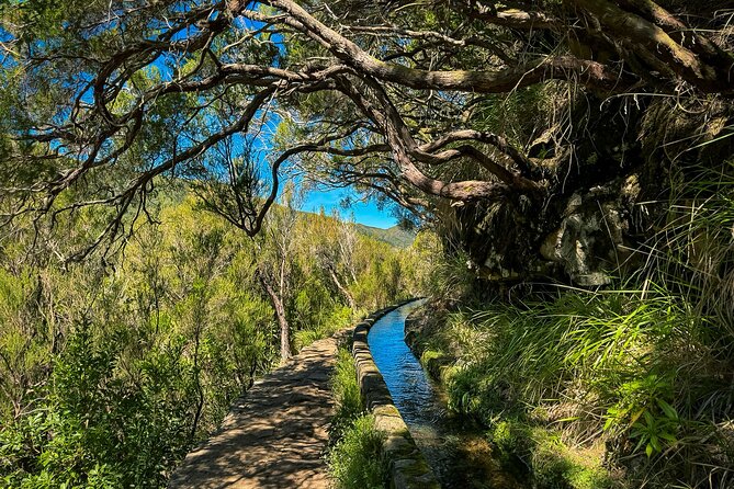25 Fountains Levada: Hiking Tour in Madeira Rabaçal Valley (PR6) - Transportation Time Is Part of the Day, Plan Accordingly