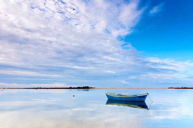 3-Hour Boat Tour in Ria Formosa on Olhão Algarve - Timing and expectations: why people differ so much on this tour