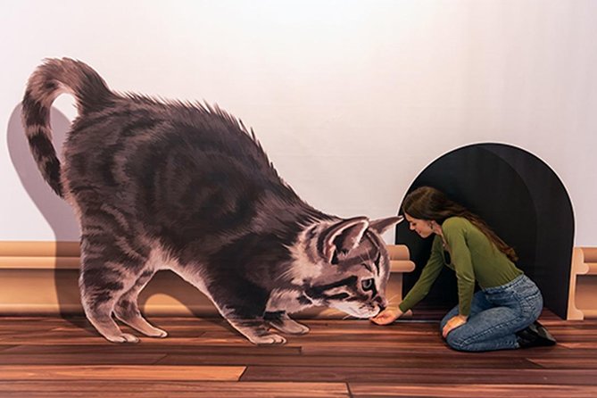 3D Fun Art Museum Funchal - 3D Photo Illusions in Funchal: Why This Museum Works So Well