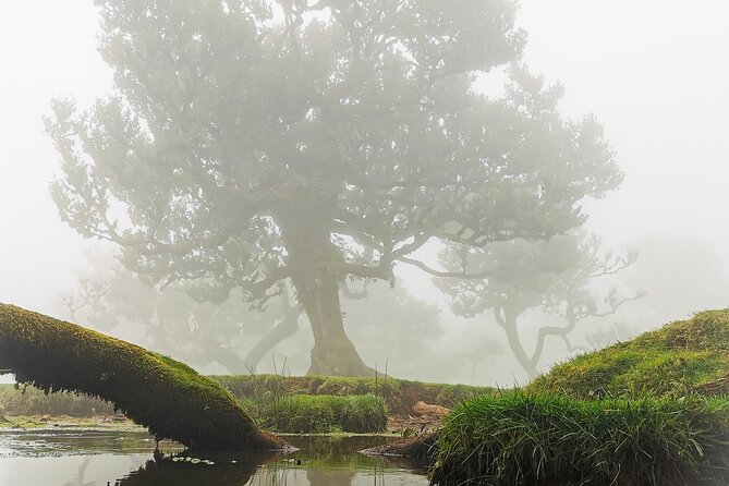 4x4 Jeep Tour to the West & Northwest of Madeira - Ribeira Brava and Serra de Água, Taste Stops That Add Real Local Flavor