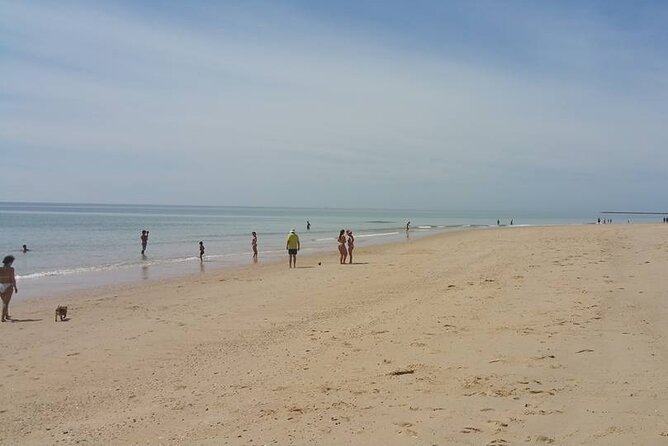 5-hour tour with 3 stops around the islands and beaches of Ria Formosa - Tips to get more out of the tide, the wildlife, and the beach