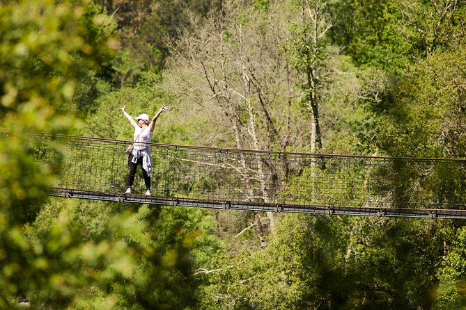 516 Arouca Bridge & Paiva Walkways Tour with Lunch from Porto - Lunch in Alvarenga: Arouquesa DPO meat and real vinho verde time