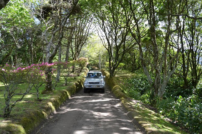 8-Hour Private Tour in 4x4 Vehicle from Ponta Delgada - Key Points You’ll Care About