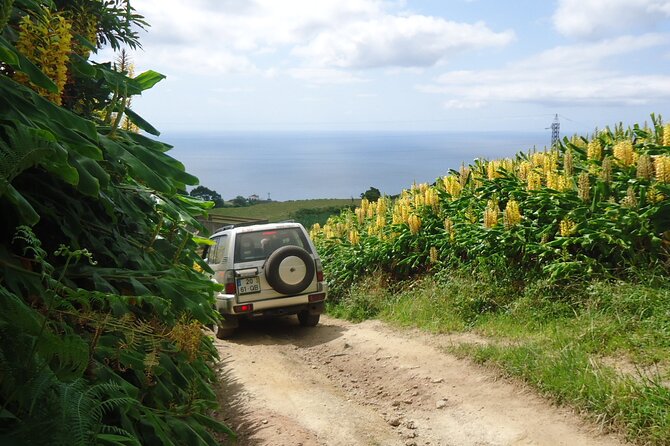 8-Hour Private Tour in 4x4 Vehicle from Ponta Delgada - How the Route Usually Works: East or West Based on Weather and Timing