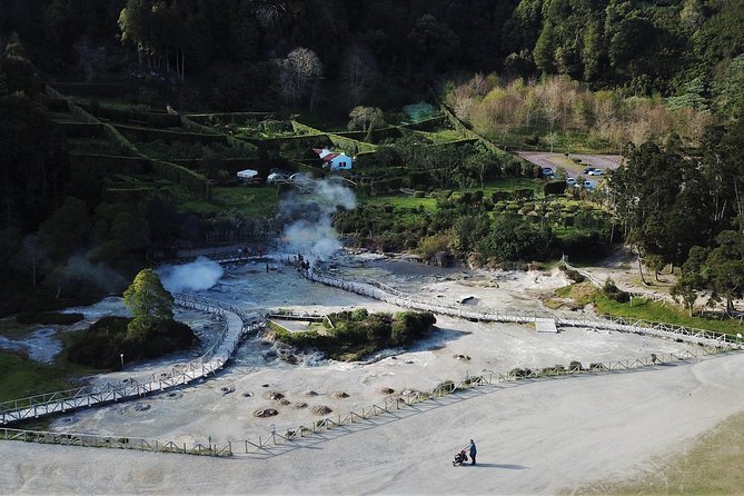Adventure in the Furnas, with volcanoes, lagoons and tea plantations - Pineapple plantation visit: a quick tour and a bar snack moment