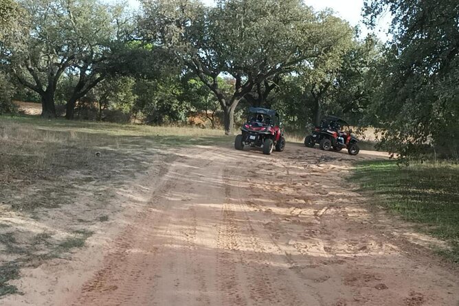 Albufeira 1.5 hour Off-Road Tour Buggy Adventure Tour - Castle of Paderne: The Perfect 20-Minute Reality Check and View Break