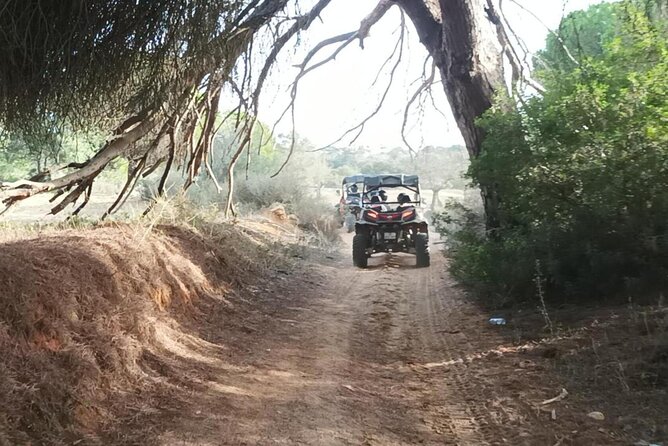 Albufeira 1.5 hour Off-Road Tour Buggy Adventure Tour - Guides and Group Size: Why the Experience Stays Personal