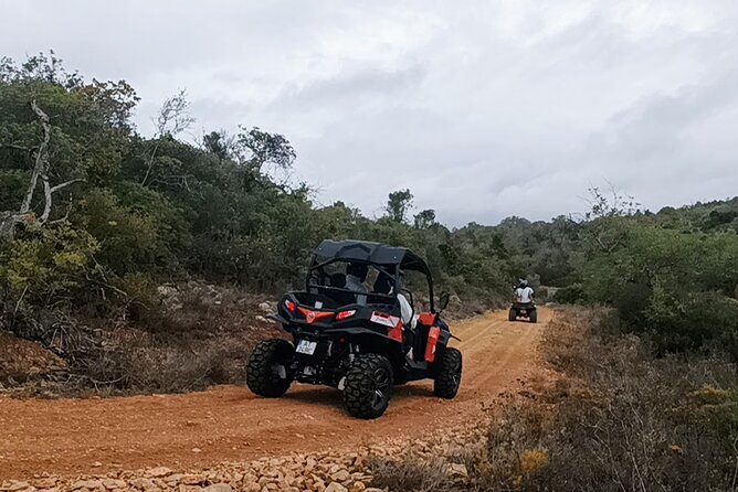 Albufeira 1.5 hour Off-Road Tour Buggy Adventure Tour - Weather, Dust, and What to Wear (This Is Not a Clean Activity)