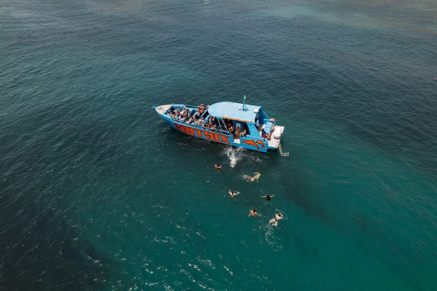 Albufeira: 2.5-Hour Dolphin Watching and Caves Trip - FAQ