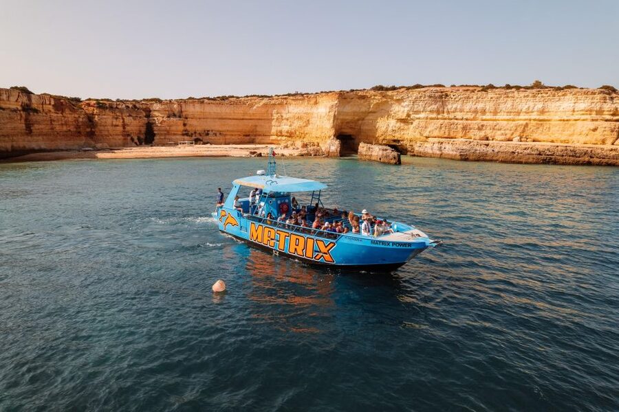 Albufeira: 2.5-Hour Dolphin Watching and Caves Trip - The dolphin search offshore: what you can control