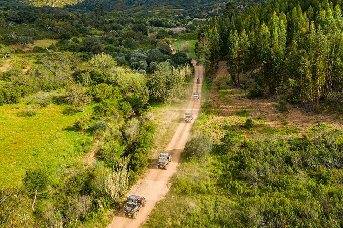 Albufeira: 3-Hour Off-Road Buggy Tour to Hidden Algarve Trails - Guides, small groups, and language handling with David and Fred