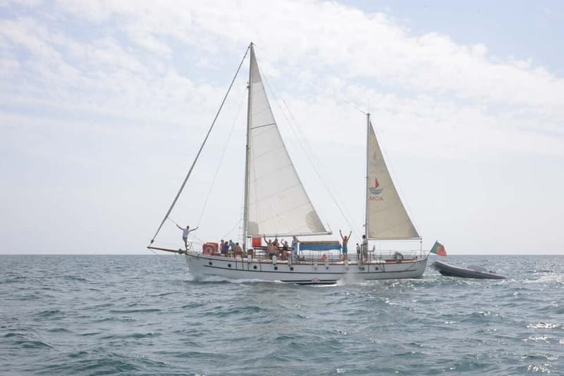 Albufeira: 6-Hour Boat Tour with BBQ and Drinks - Key takeaways