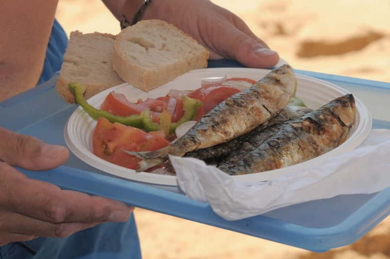 Albufeira: 6-Hour Boat Tour with BBQ and Drinks - Who should book this Albufeira BBQ boat tour, and who should not