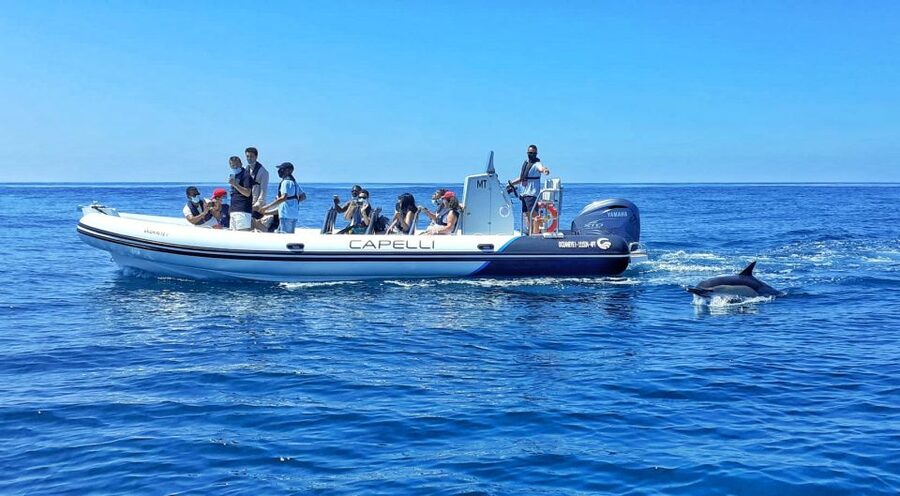 Albufeira: Benagil Cave and Dolphin Sightseeing Boat Cruise - The ride style: fast, fun, and very “brace for wind”