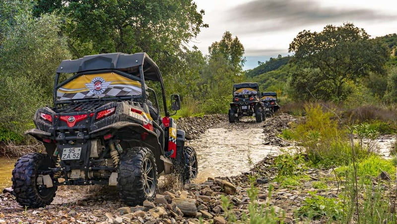 Albufeira: Buggy Adventure through the Algarve Hidden Gems - Quinta Do Goji Break: A Scenic Pause With Real Country Flavor