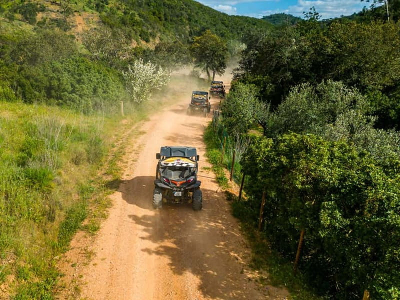 Albufeira: Buggy Adventure through the Algarve Hidden Gems - Drop-Off Around Albufeira: Convenient Resort-Friendly Endings