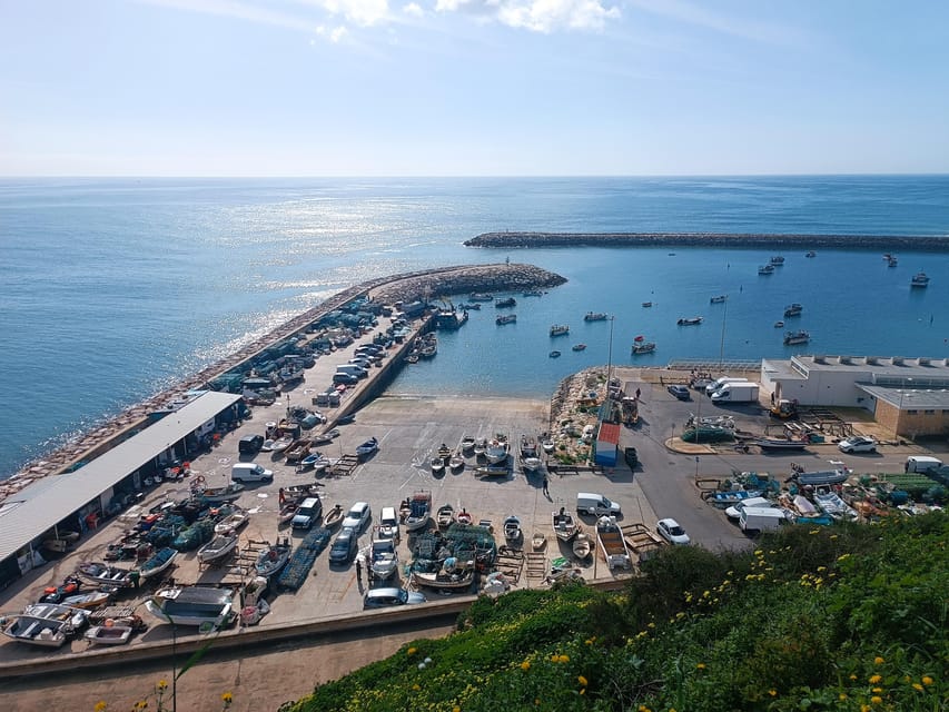 Albufeira: City Highlights & WINE TASTING - Should you book this Albufeira highlights and wine tasting tour?