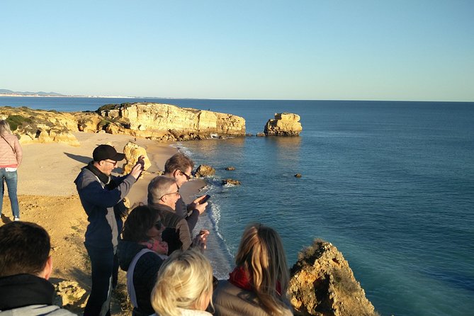 Albufeira: City Highlights & WINE TASTING - The Albufeira Strip and entertainment quarter, and what to look for