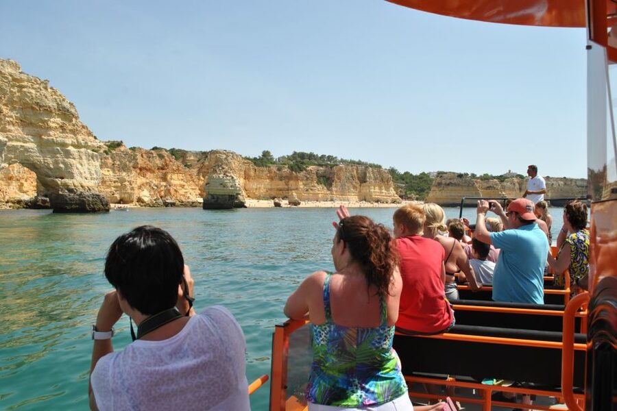 Albufeira: Dolphin Watching and Benagil Cave - Dolphin spotting: what you’ll do and what you cannot control