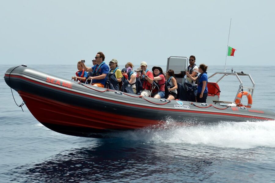 Albufeira: Dolphin Watching and Benagil Cave Boat Cruise - Key points to know before you go