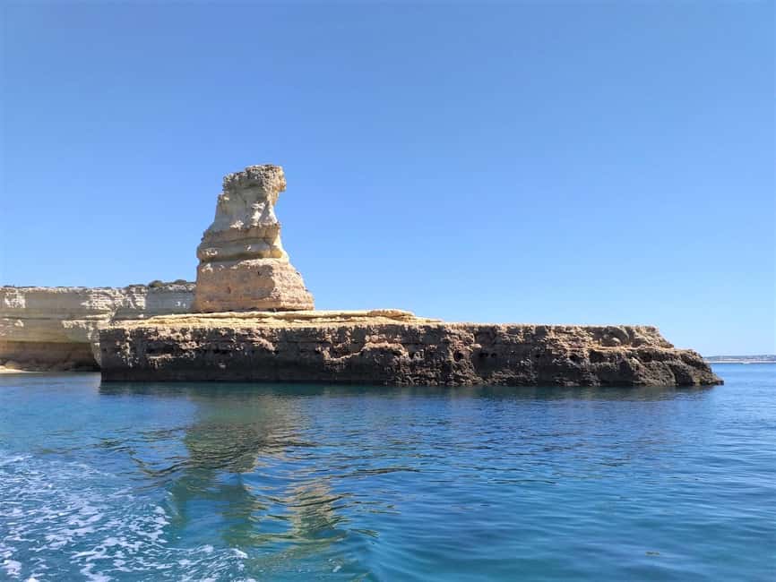 Albufeira: Dolphin Watching and Benagil Cave Boat Cruise - Value for the money: why $35 can still feel fair