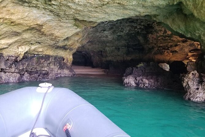 Albufeira: Dolphins and Caves Tour - Who this tour suits best (and who should rethink it)