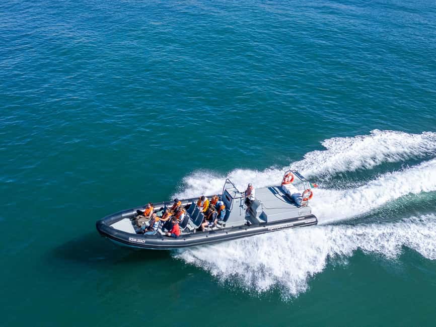 Albufeira: Dolphins & Benagil Caves RIB Tour - Key highlights to know before you go