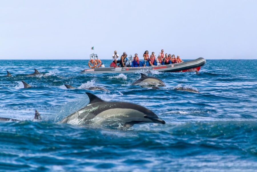Albufeira: Dolphins & Benagil Caves RIB Tour - Life jackets, possible swimming stops, and packing smart for spray