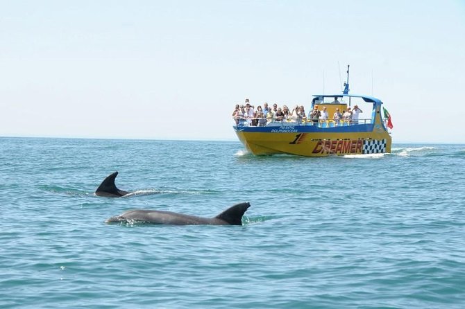 Albufeira Dreamer Boat Trip - Jet boat route: Albufeira coast toward Carvoeiro