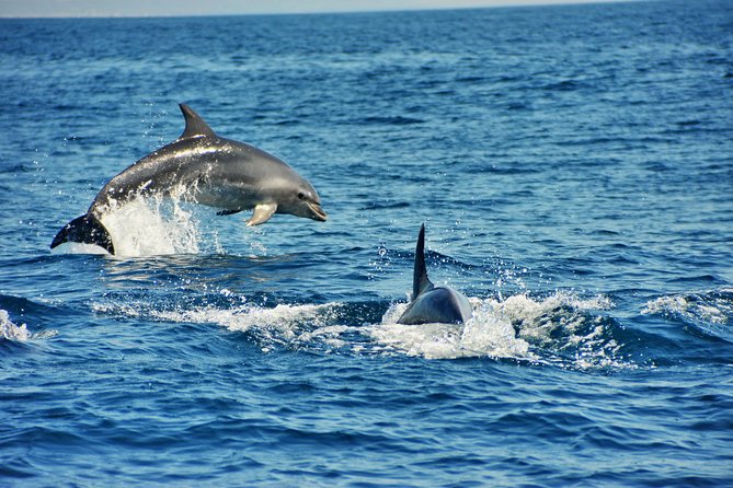 Albufeira Dreamer Boat Trip - Where Praia da Marinha fits in, and why it’s such a big deal