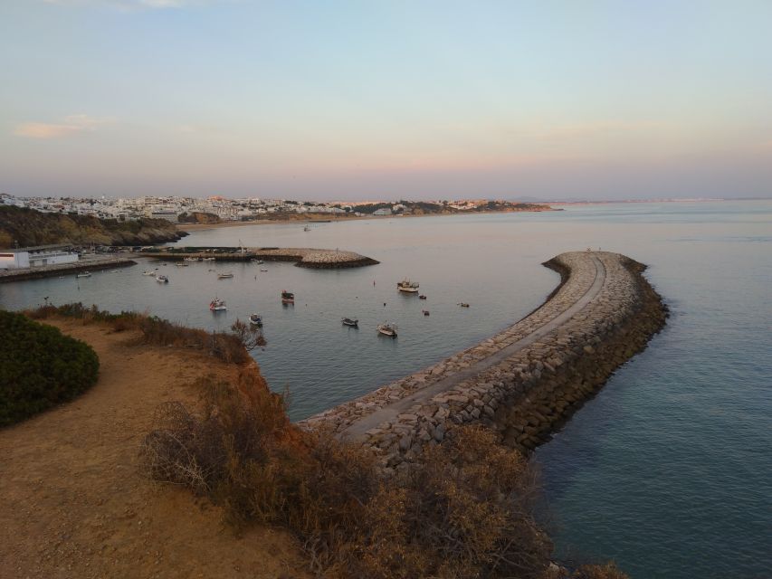 Albufeira: Guided Tour by Tuk-Tuk - Marina and Fishing Dock: Why This Stop Feels Different