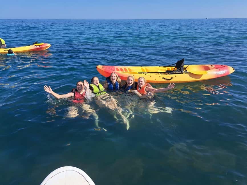 Albufeira: Hidden Beaches & Cliffs Guided Kayak Cave Tour - Praia da Maré das Porcas and the cave experience: close-up rock formations