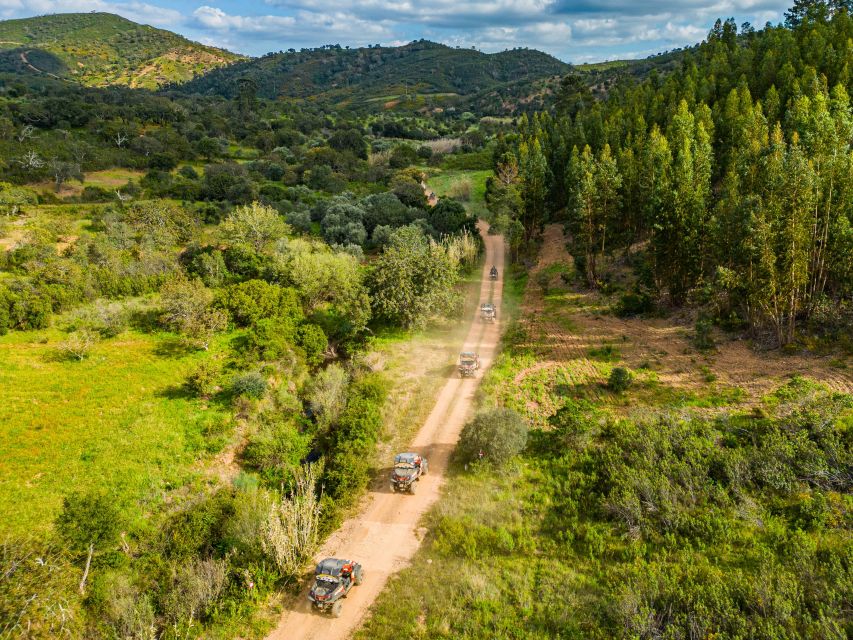 Albufeira: Off-Road Buggy Adventure - Key highlights worth caring about