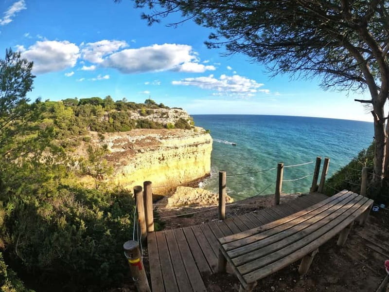 Albufeira, Olhão, Faro : Seven Hanging Valleys Guided Hiking - Praia da Marinha food tasting: how the day ends without rushing you