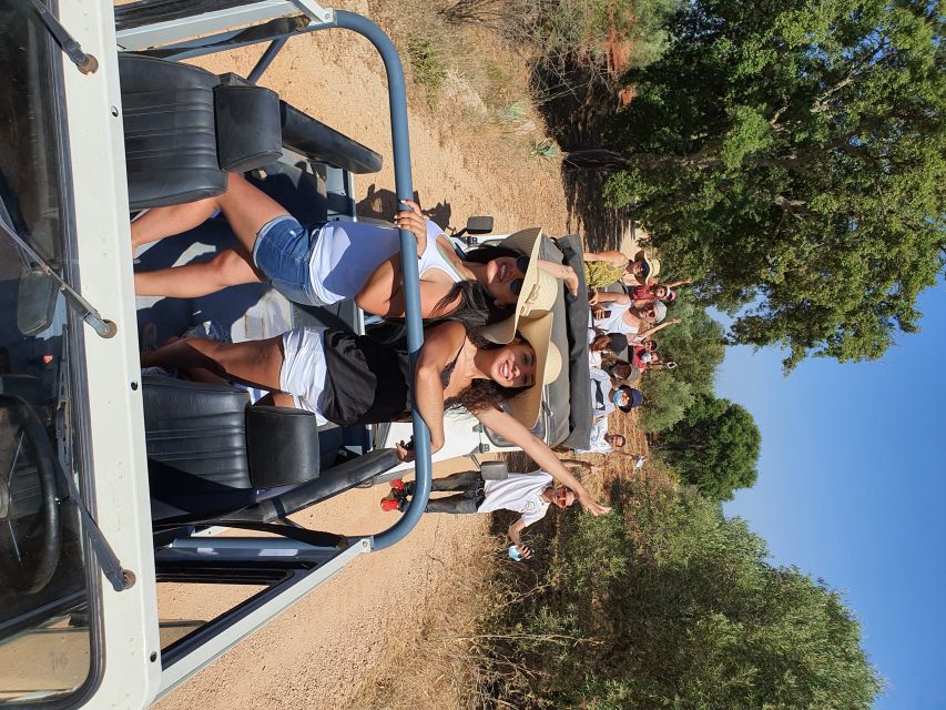 Albufeira: Safari Excursion in the Algarve Mountains - Pico Alto Panoramic Swing: Your Highest-Point Reward
