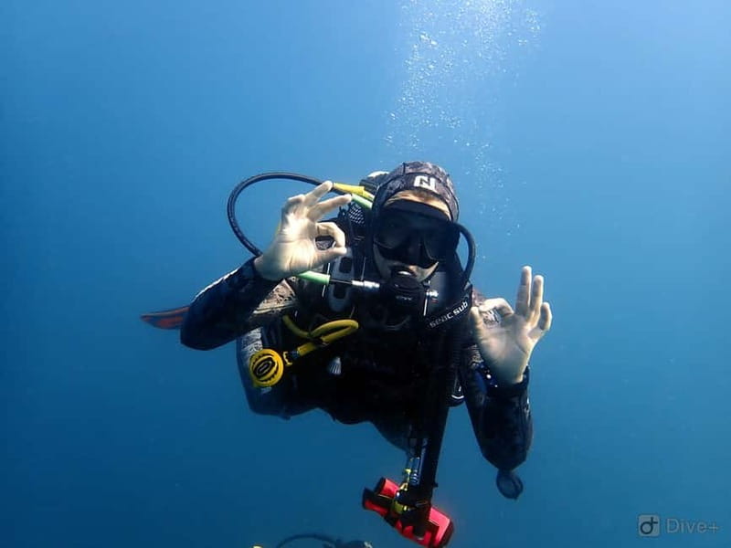 Albufeira: Scuba Diving Experience for Beginners - Who Should Skip It (And Why)