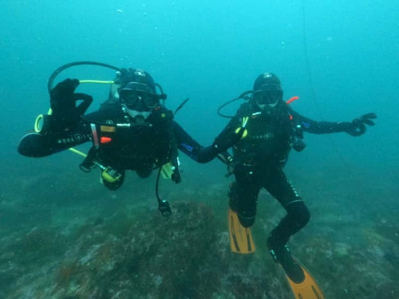 Albufeira: Scuba Diving Experience for Beginners - Who This Beginner Scuba Session Is Perfect For
