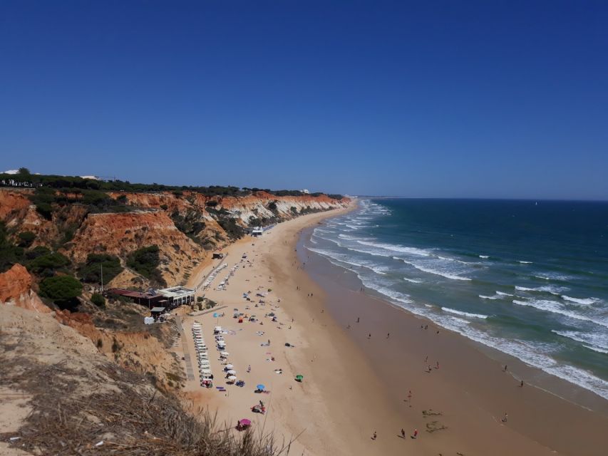 Albufeira: Tuk-tuk Sightseeing Tour - Should you book this Albufeira tuk-tuk tour?