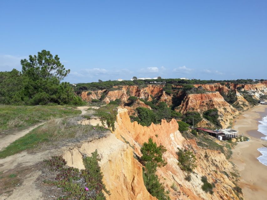 Albufeira: Tuk-tuk Sightseeing Tour - How the Tuk-Tuk Format Changes Your Sightseeing Game