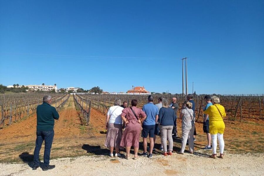Albufeira/Vilamoura: Winery Tour with Wine Tasting and Tapas - Charcuterie and cheese tapas, then the sweet finale