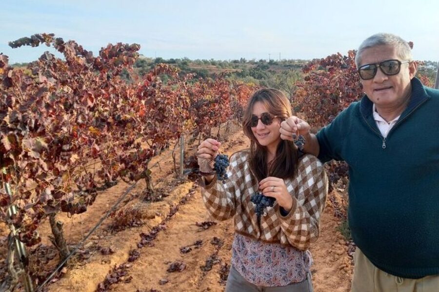 Albufeira/Vilamoura: Winery Tour with Wine Tasting and Tapas - The white van pickup, plus town history and photo chances