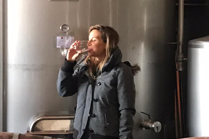 Albufeira Wine Tasting: Boutique Winery Tour & Historic Silves - Your Wine Tasting Flight: Red, White, Rosé, Plus Snacks